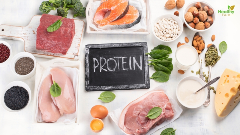 Bổ sung protein đúng cách