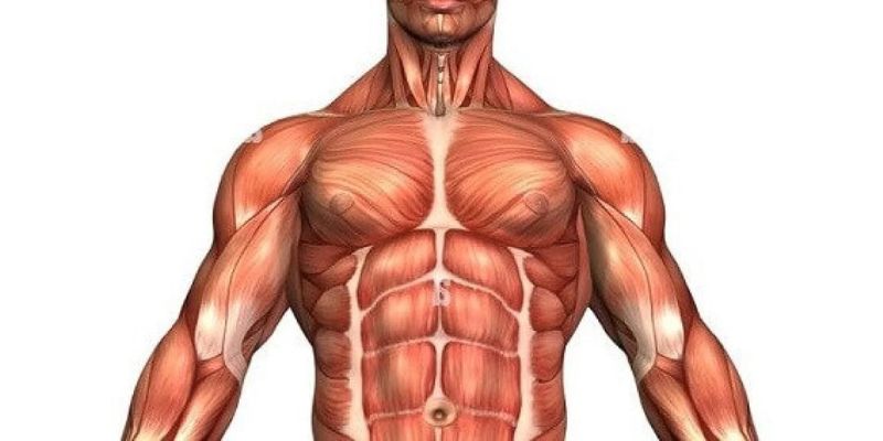 Đánh giá mức độ chấn thương