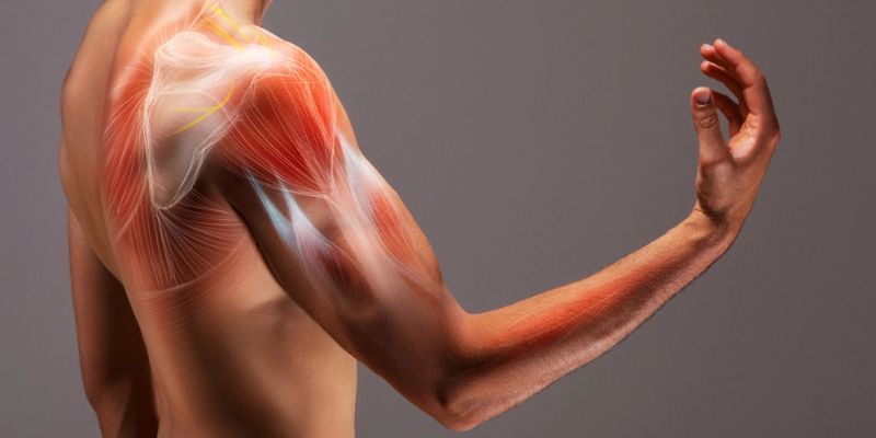 Giai đoạn tái tạo và củng cố