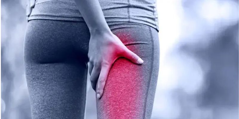 Giai đoạn trở lại hoạt động