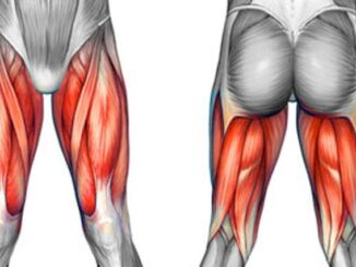 Phục hồi sau chấn thương cơ đùi