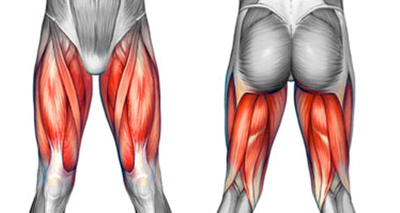 Phục hồi sau chấn thương cơ đùi