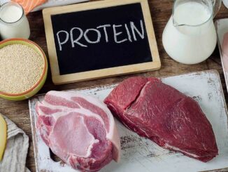 Protein và phục hồi cơ