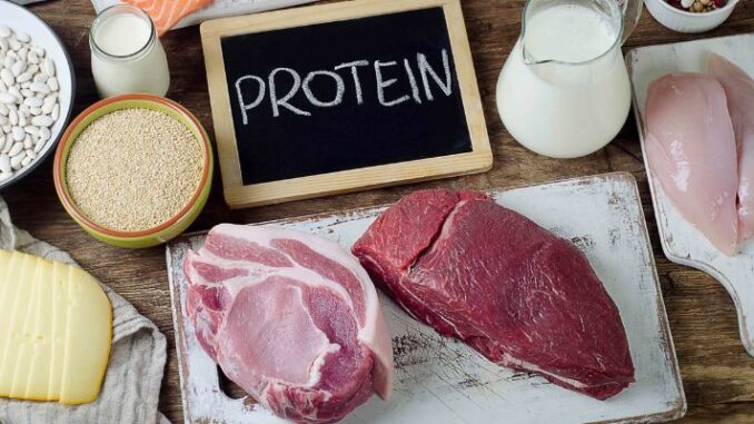 protein-va-phuc-hoi-co Protein và phục hồi cơ