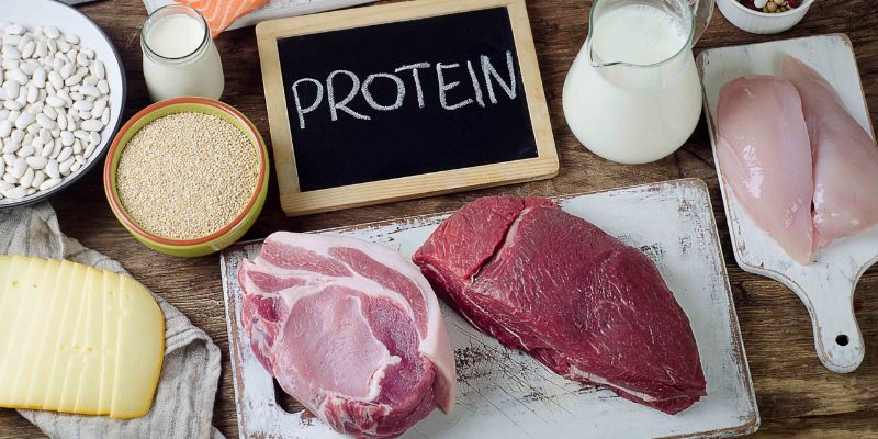 Protein và phục hồi cơ