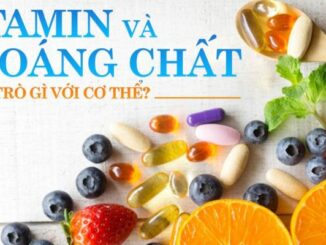 Vitamin và khoáng chất cần thiết cho VĐV