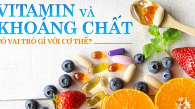 vitamin-va-khoang-chat-can-thiet-cho-vdv Vitamin và khoáng chất cần thiết cho VĐV