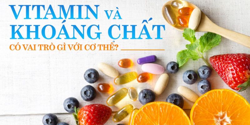 Vitamin và khoáng chất cần thiết cho VĐV